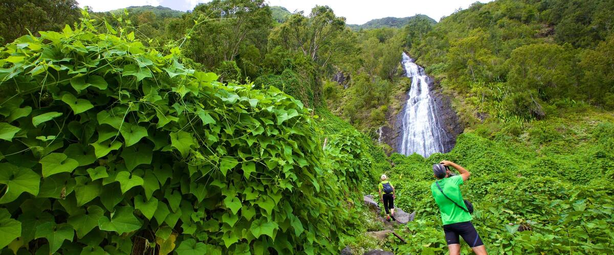 A waterfall surrounded by lush greenery and hikers.