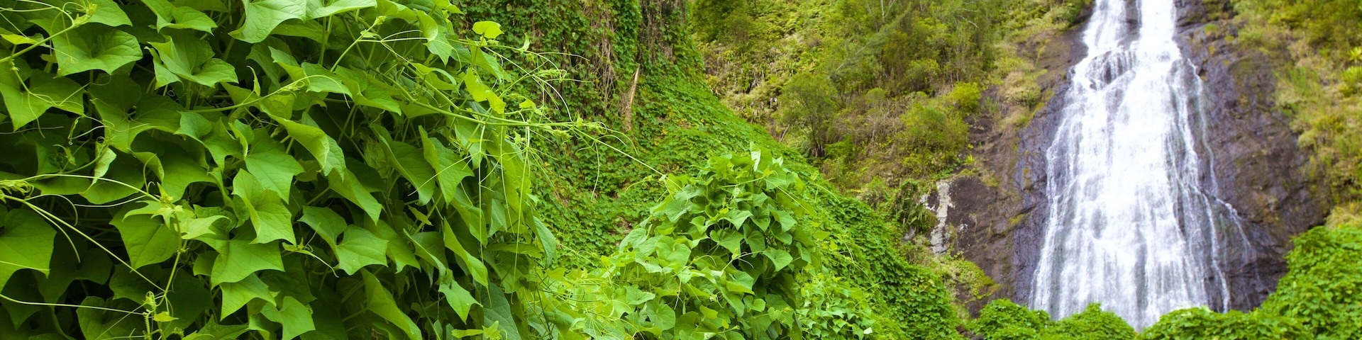 Réunion mit einem Kaskade und ruhige Szenerie
