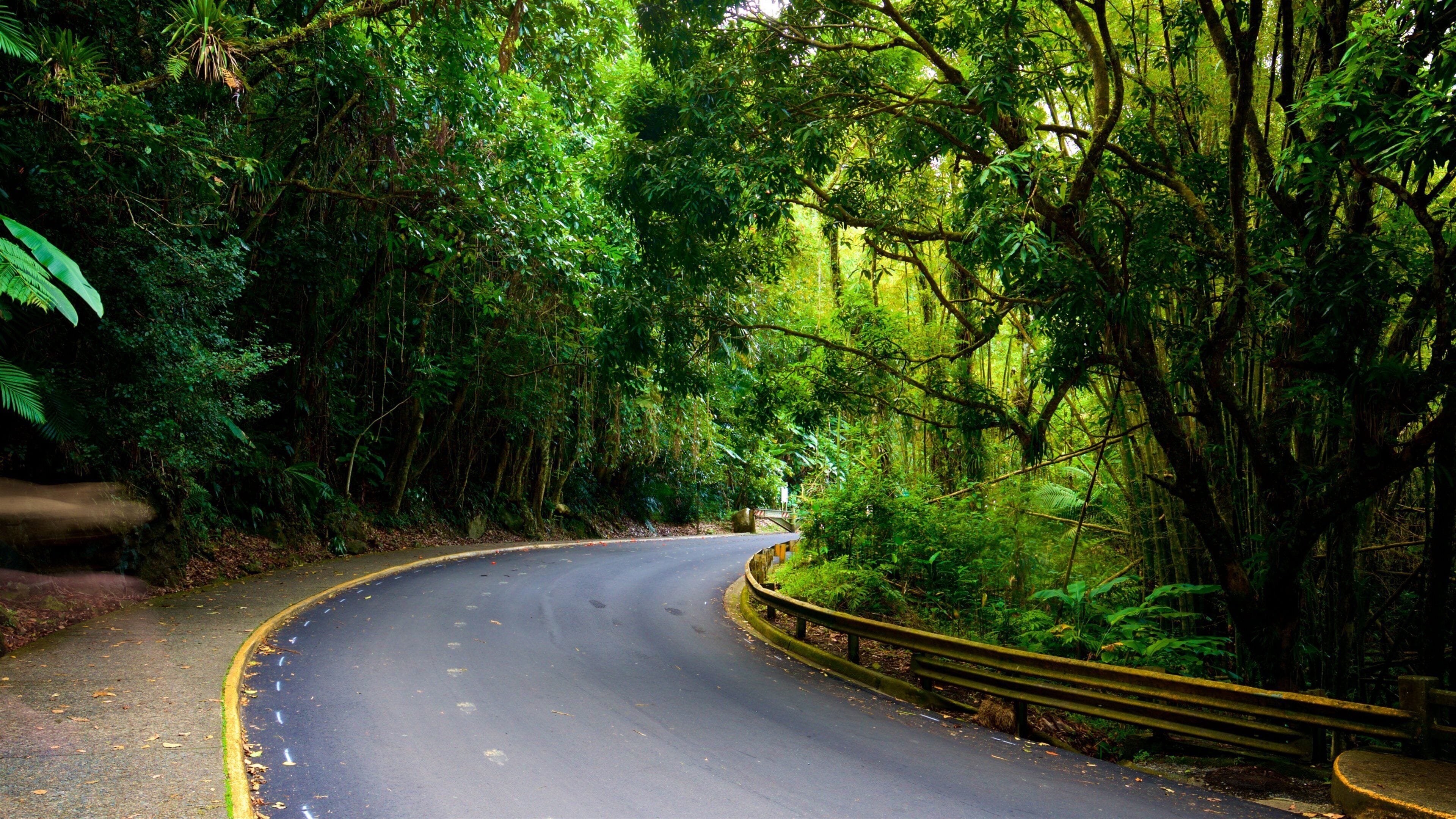 El Yunque National Forest