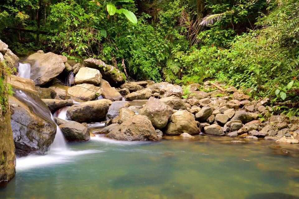 A waterfall cascading over rocks in a lush, green forest.