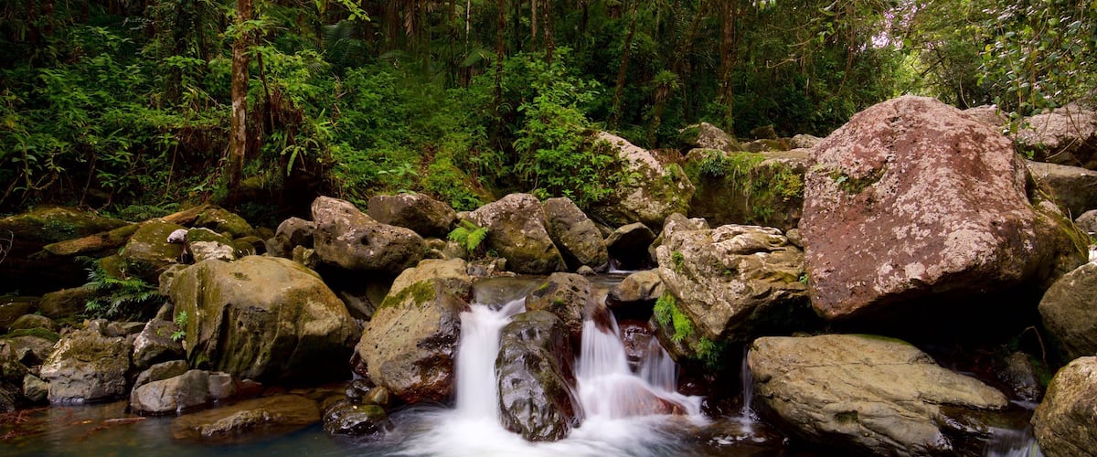 El Yunque nasjonalskog