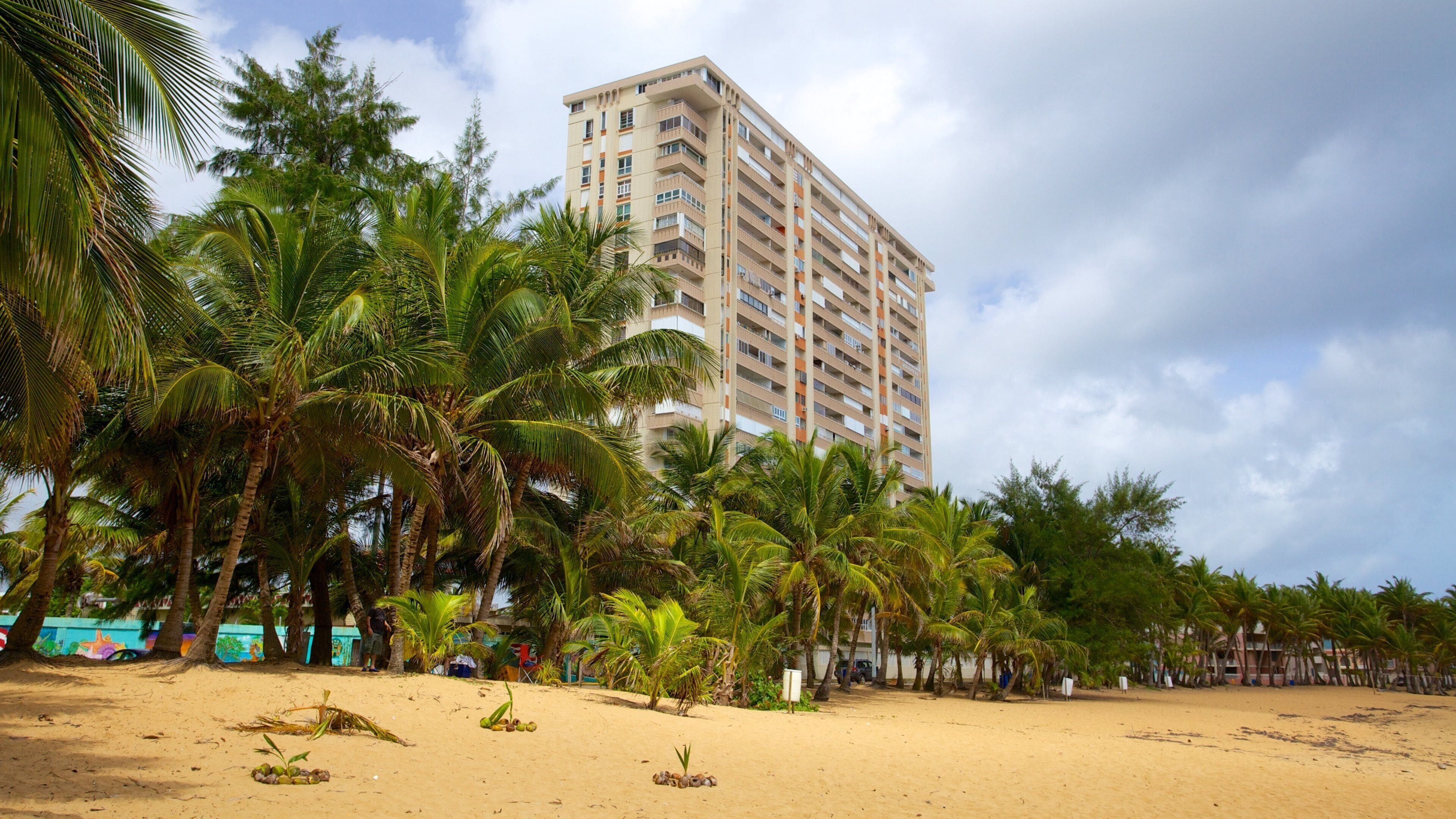 Azul Strand som omfatter en strand og tropiske områder