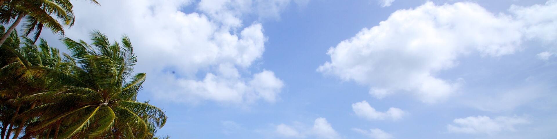 Azul Beach which includes a beach and tropical scenes