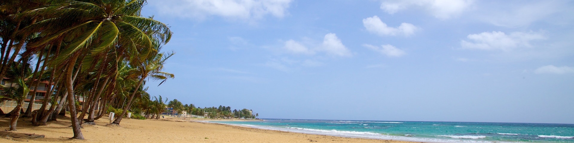 Azul Beach featuring a beach and tropical scenes