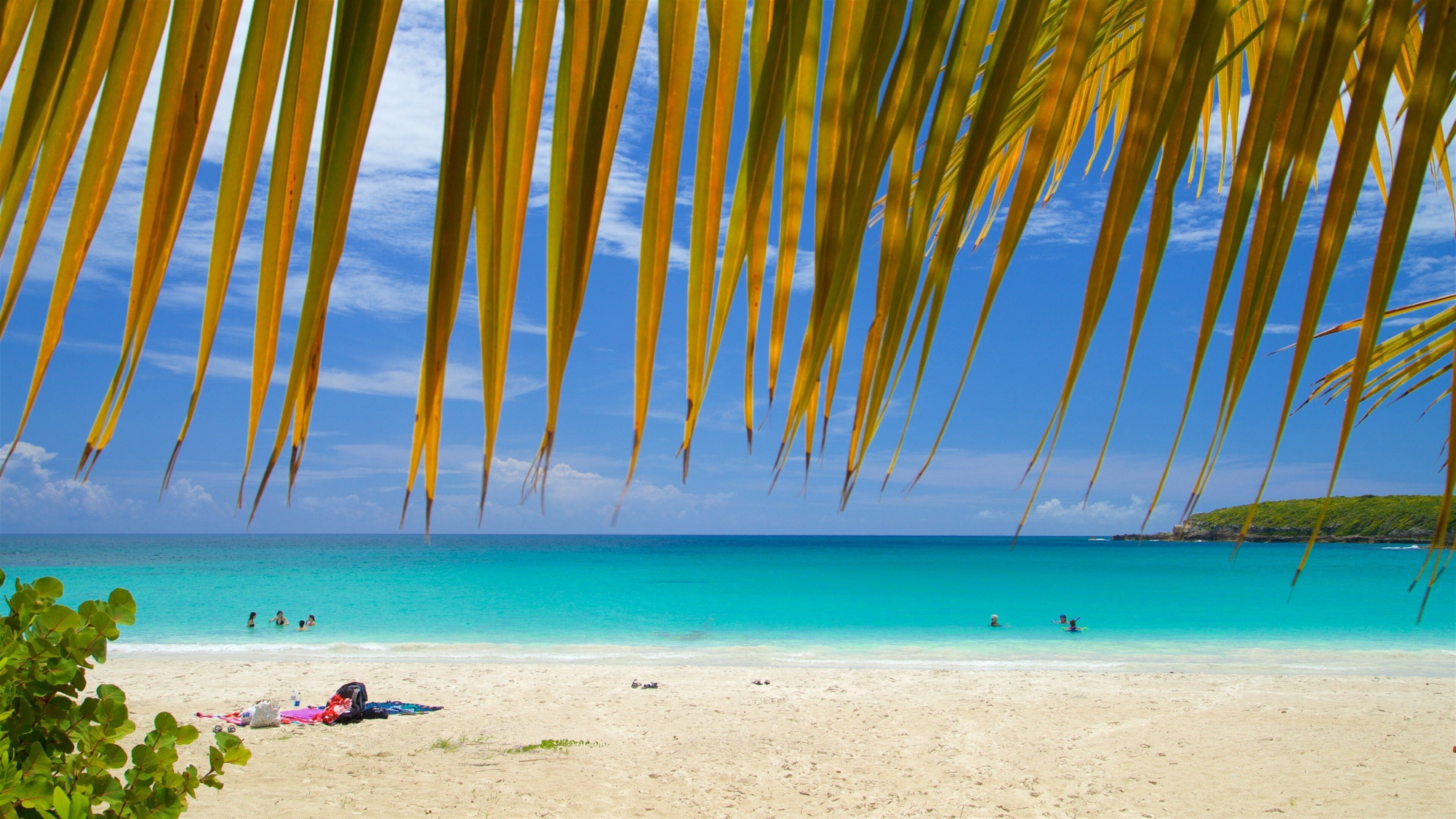 Una playa con agua turquesa cristalina, hojas de palmera sobre la cabeza y algunas personas a lo lejos.