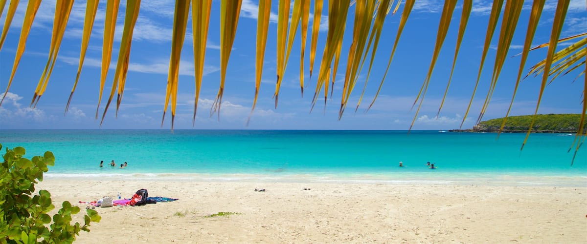 Een strand met helder turquoise water, palmbomen erboven en enkele mensen in de verte.