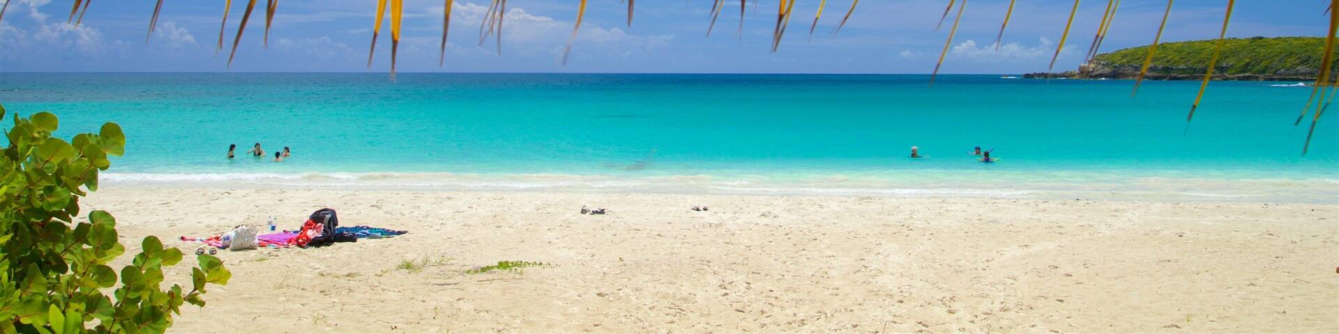 A beach with clear turquoise water, palm leaves overhead, and a few people in the distance.
