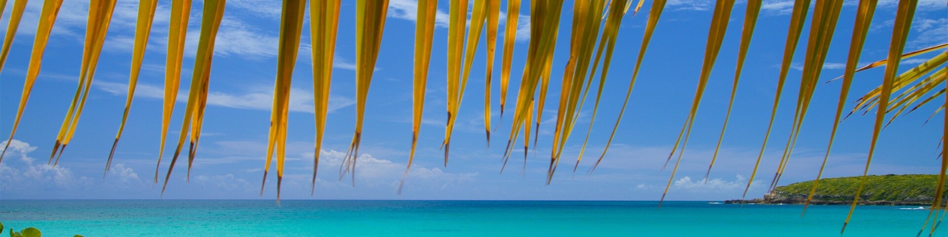 Uma praia com águas turquesa cristalinas, folhas de palmeira acima e algumas pessoas ao longe.