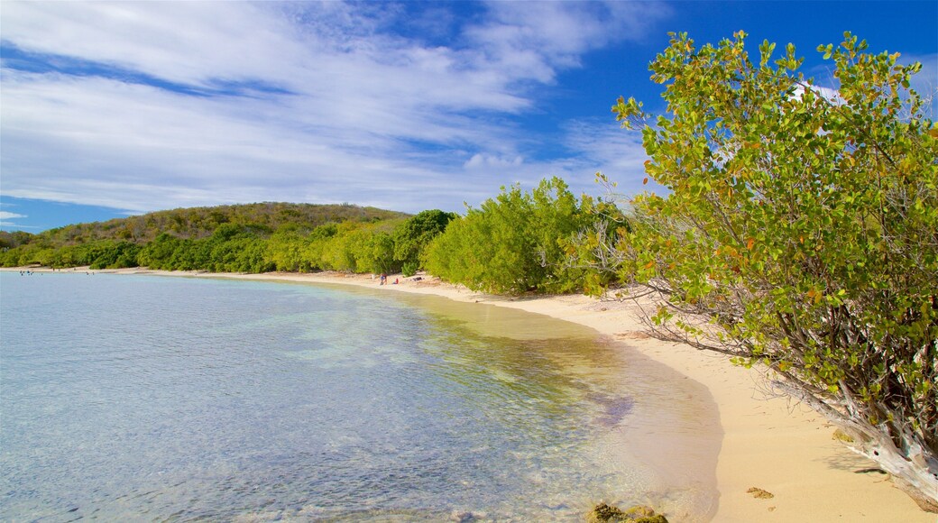 La Chiva Beach featuring general coastal views and a beach