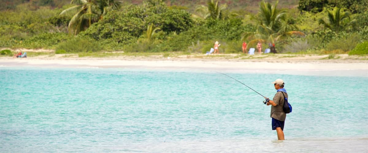 A man fishing on a beach with clear turquoise water and palm trees in the background.