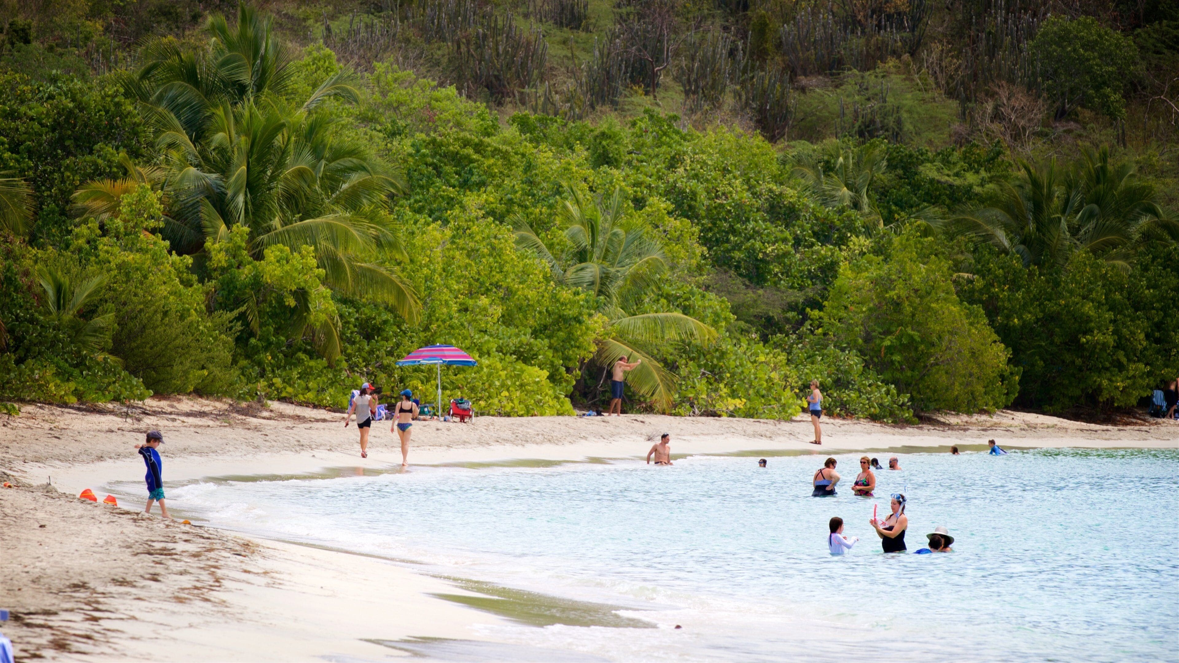 Une plage où l’on voit des gens se baigner et se promener sur le sable, le tout entouré d’une végétation luxuriante.