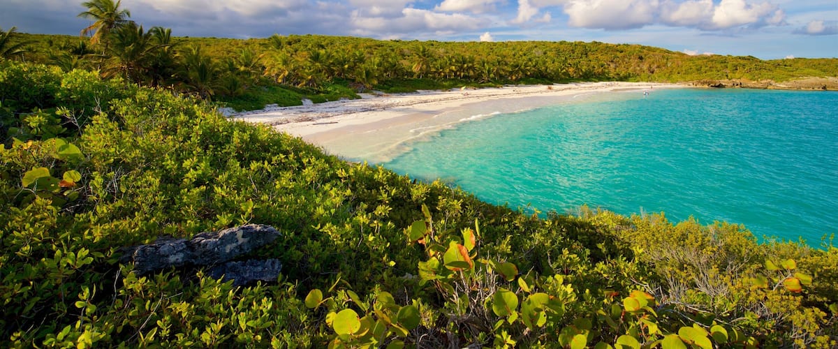 A turquoise beach with white sand, surrounded by lush green vegetation and palm trees.