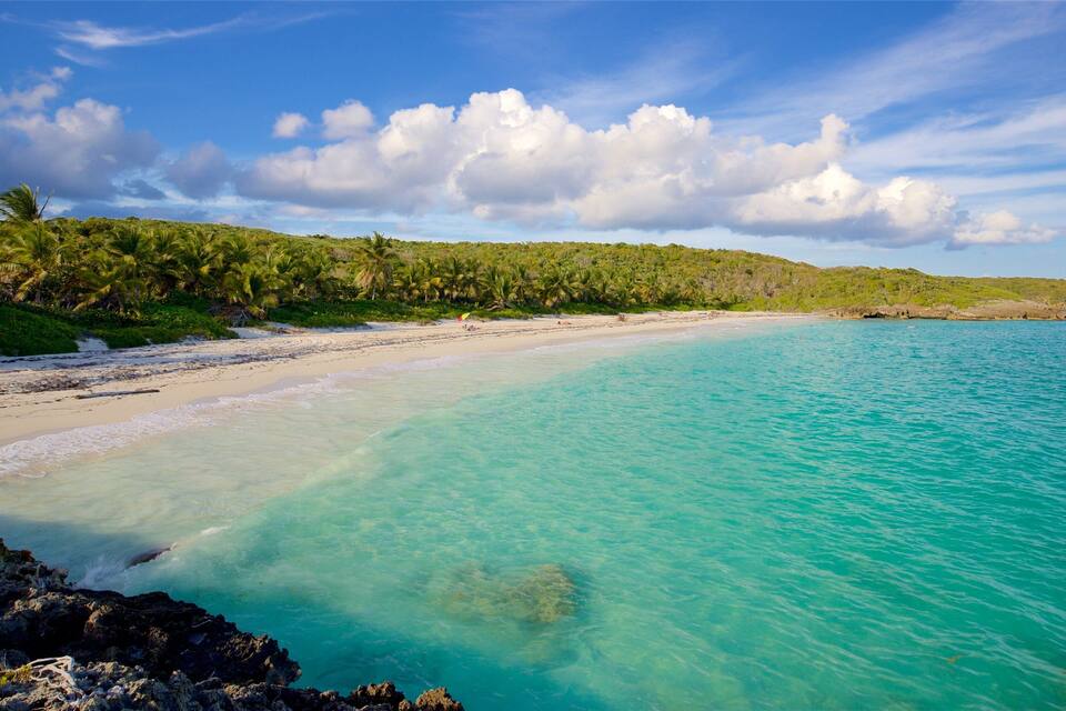 Uma praia turquesa com águas cristalinas, areia branca e palmeiras.