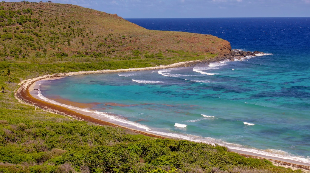 Beach with waves on Culebrita Island by Culebra, Puerto Rico