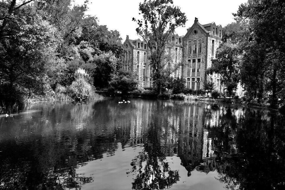 Beautiful park in Portugal