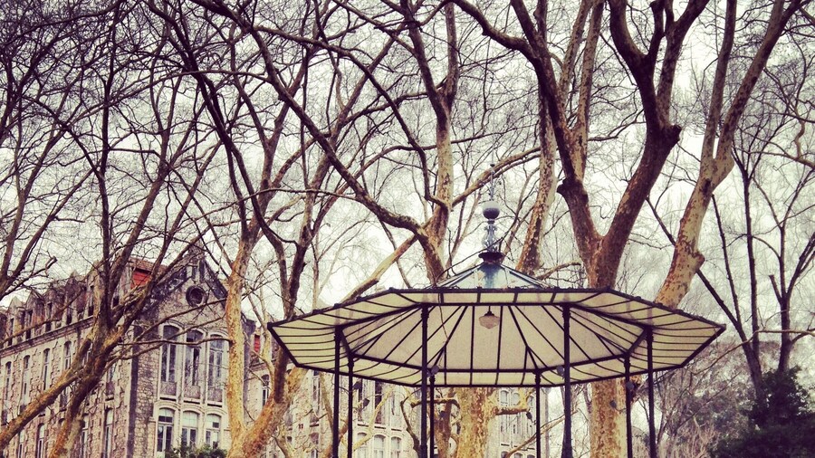 Play for me.
Situated in the lovely town of Caldas da Rainha, the D. Carlos I park is a gorgeous 19th century romantic garden situated in the historic centre of the town.
This refreshing green area used to work as a complement of the important Thermal Hospital that named the town of Caldas da Rainha