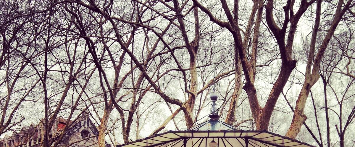 A gazebo in a park with trees and a building in the background.