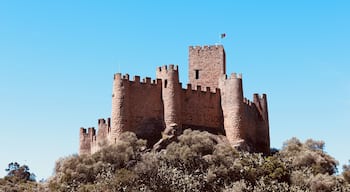 Conqueer the castle.