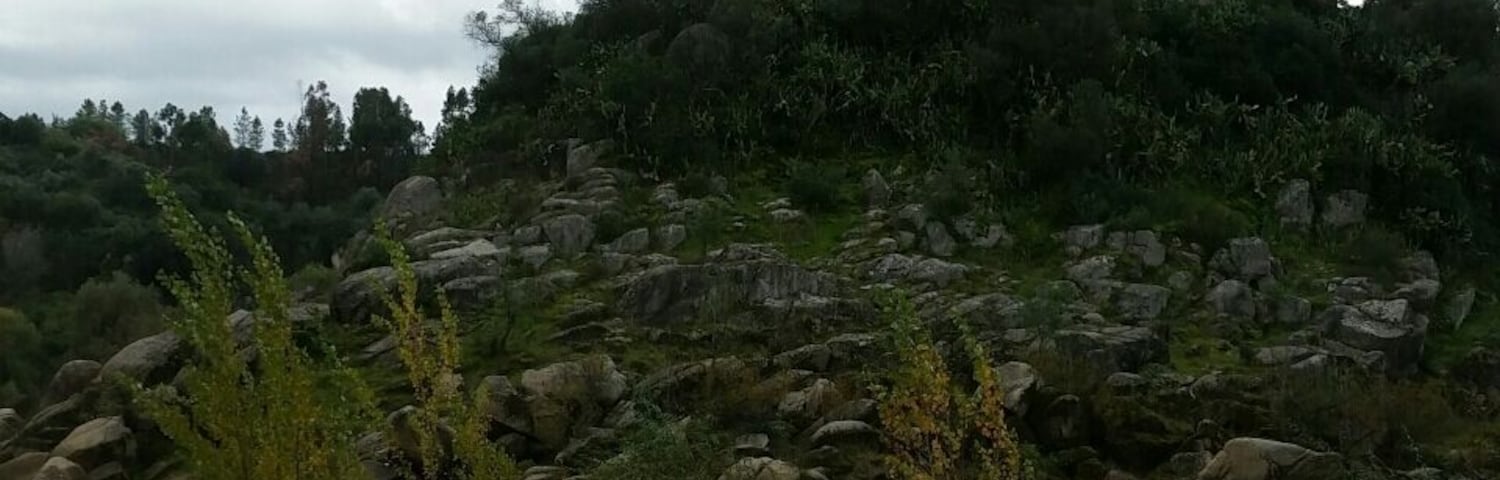 Castelo Português em pleno Rio Tejo