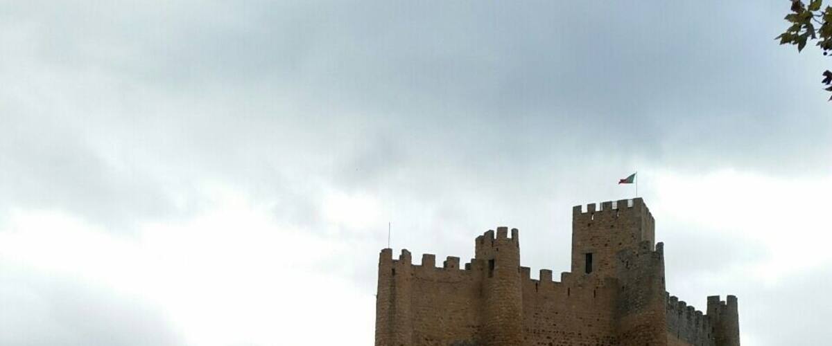 A medieval castle on a rocky hill with a flag.
