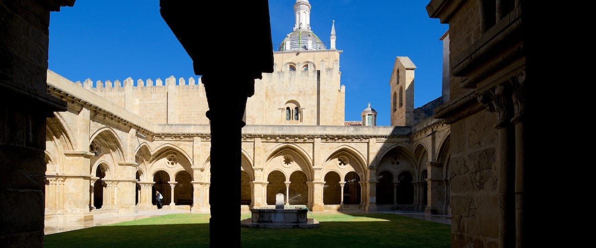 Velha Cathedral showing a park and heritage elements