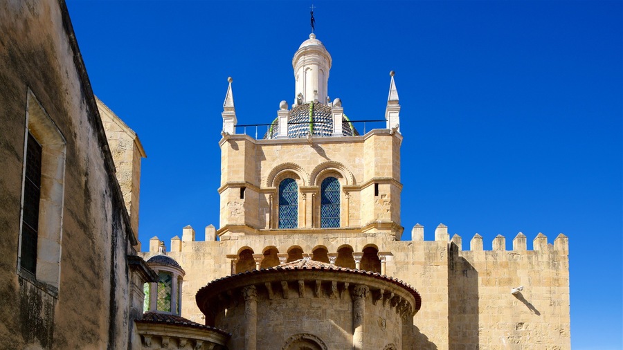 Velha Cathedral showing heritage elements