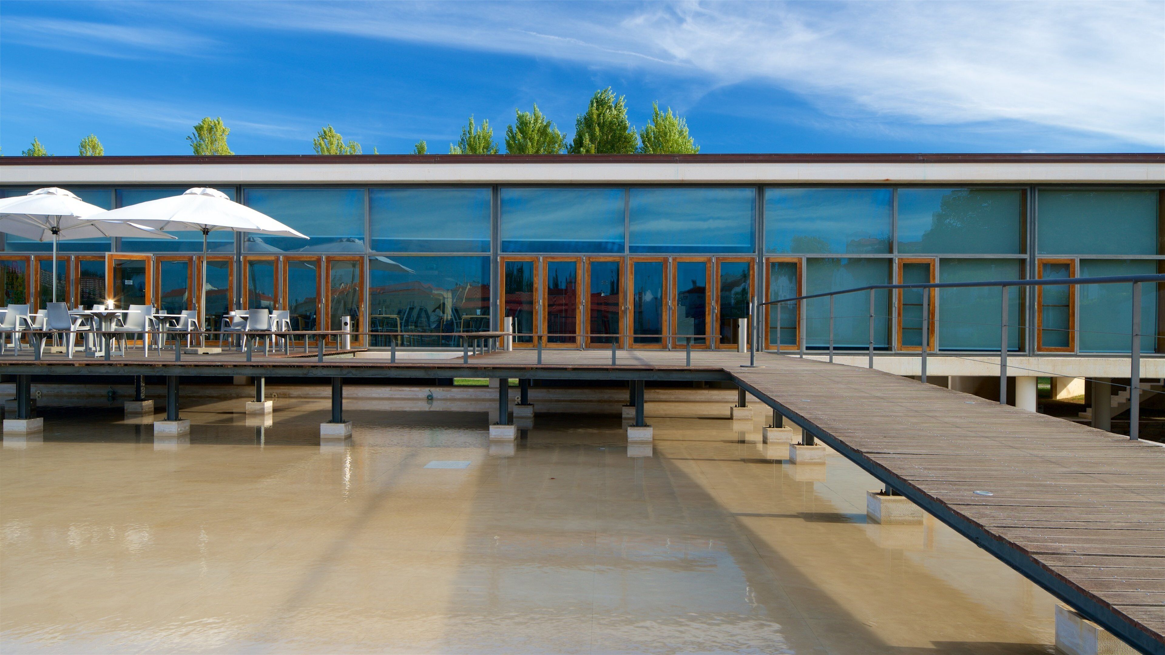 Convento de Santa Clara-a-Velha which includes a lake or waterhole