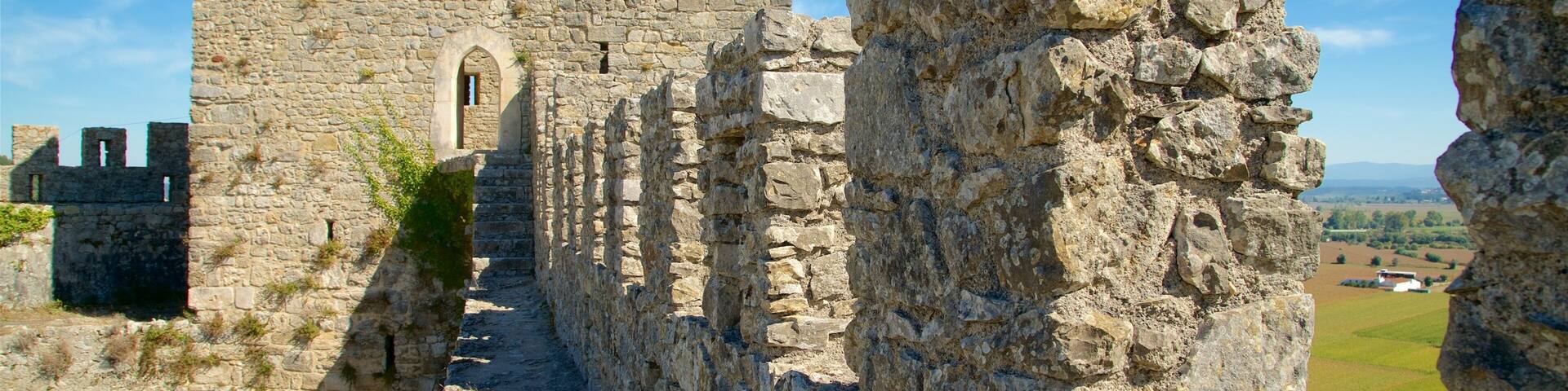 Montemor-o-Velho Castle featuring a castle and heritage elements