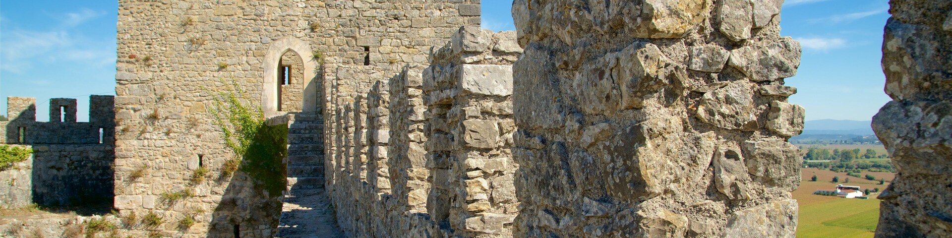 Montemor-o-Velho Castle featuring a castle and heritage elements