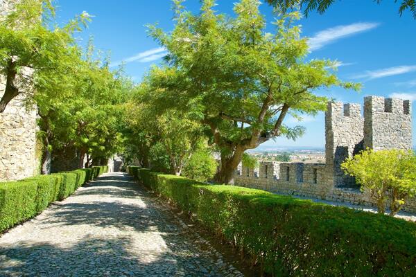 Montemor-o-Velho Castle montrant patrimoine historique et parc