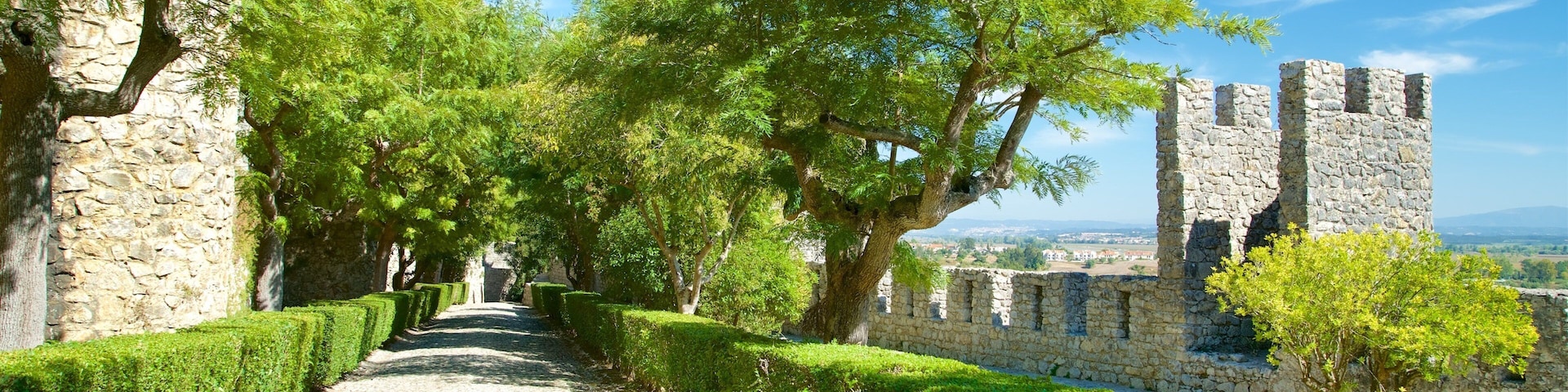 Montemor-o-Velho Castle which includes heritage elements and a garden