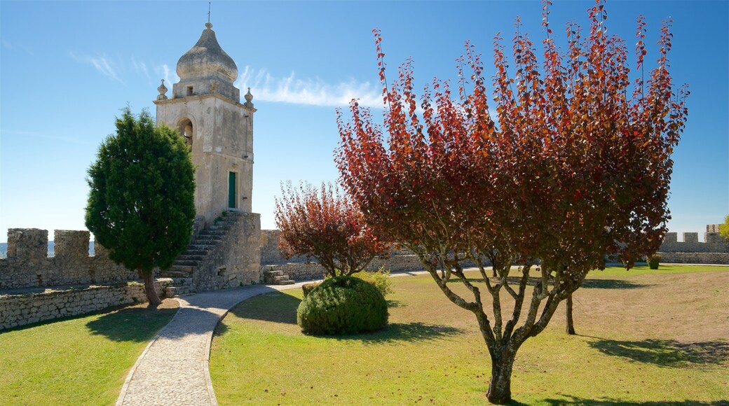 Montemor-o-Velho Castle showing heritage elements and a garden