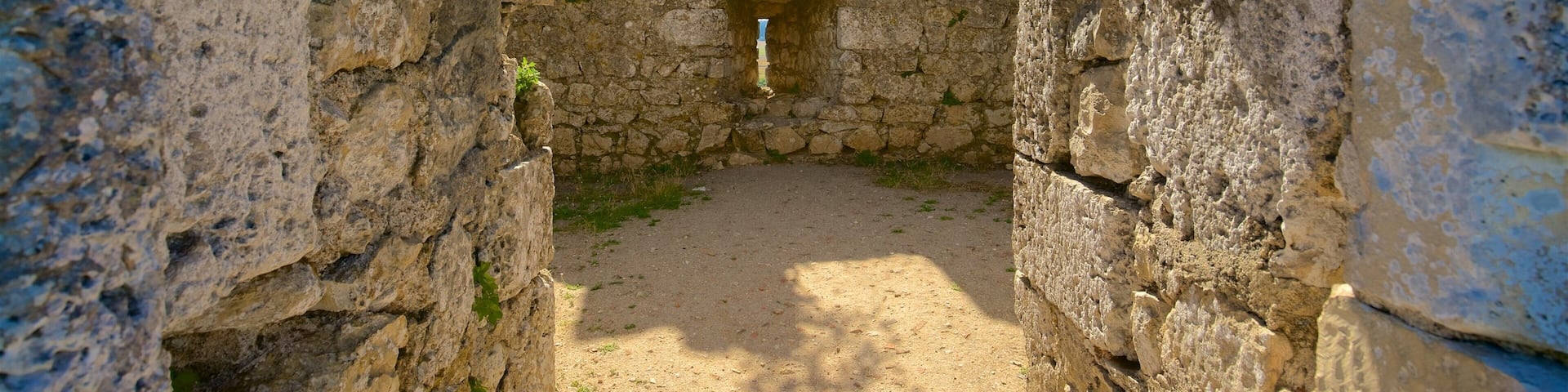 Montemor-o-Velho Castle which includes heritage elements