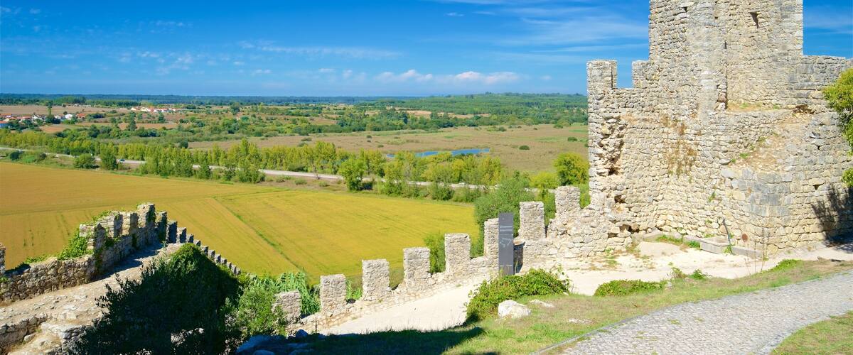 A stone castle ruin with a view of a green field and distant houses.