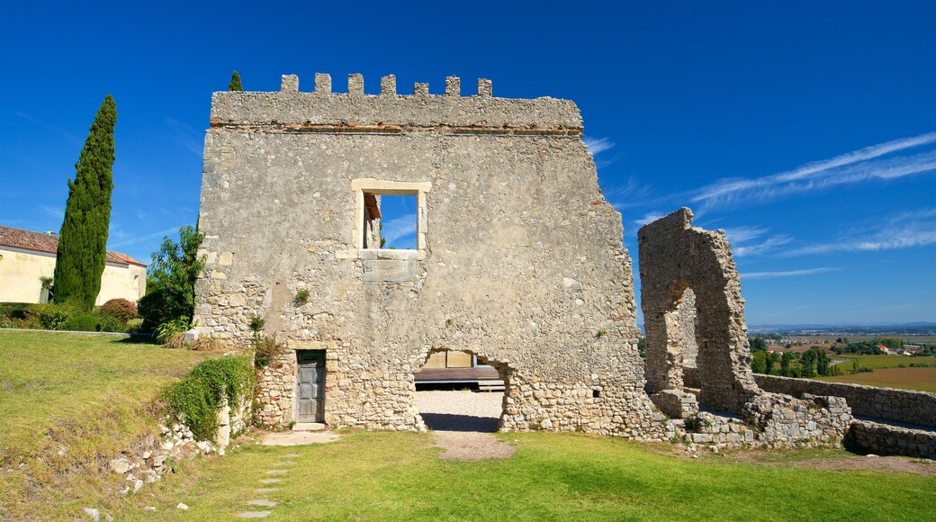 Montemor-o-Velho Castle showing building ruins