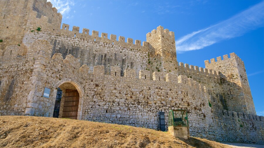 Castillo de Montemor-o-Velho que incluye castillo o palacio y patrimonio de arquitectura