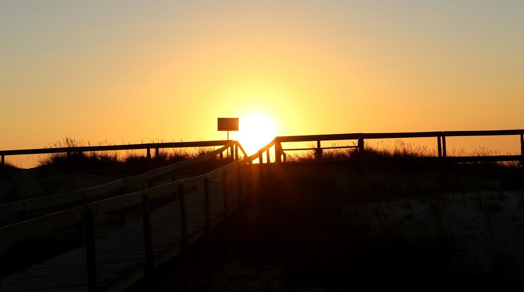 Entre a Serra e o Mar.