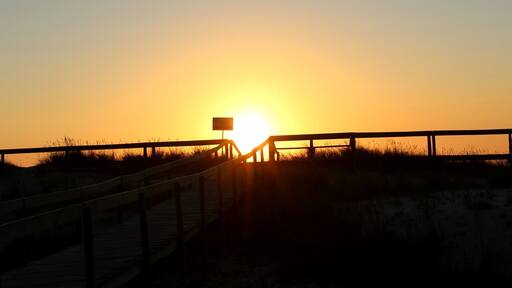 Entre a Serra e o Mar.