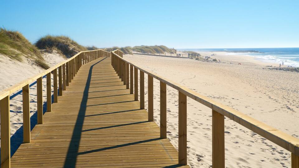A wooden boardwalk leading to a sandy beach with dunes and the ocean in the background.