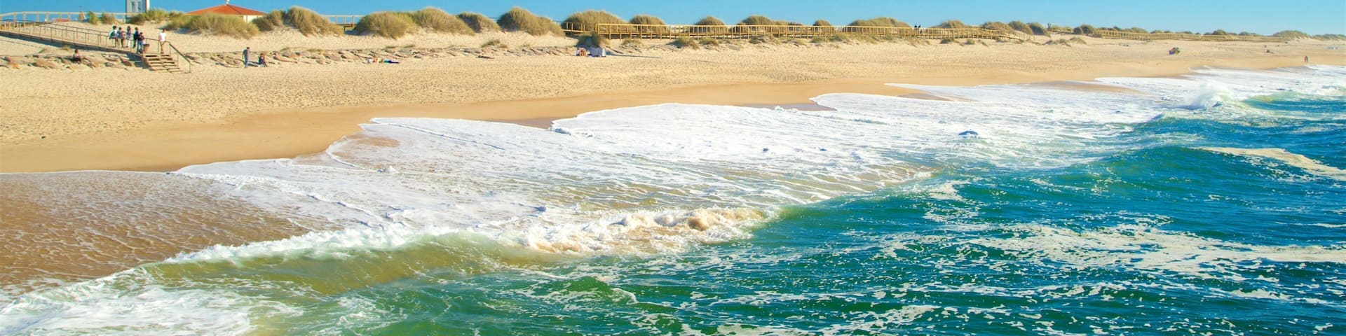 Costa Nova Beach welches beinhaltet Sandstrand und allgemeine KĂŒstenansicht