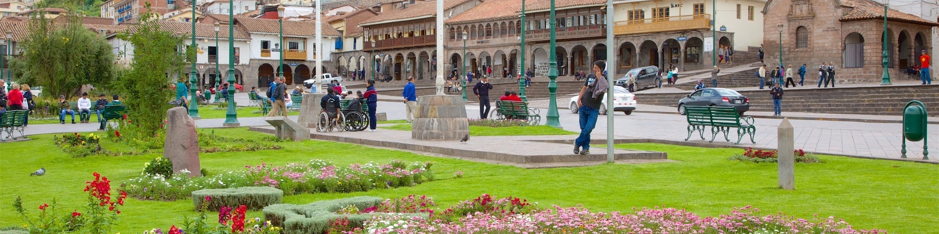 Plaza de Armas ofreciendo un parque y flores silvestres