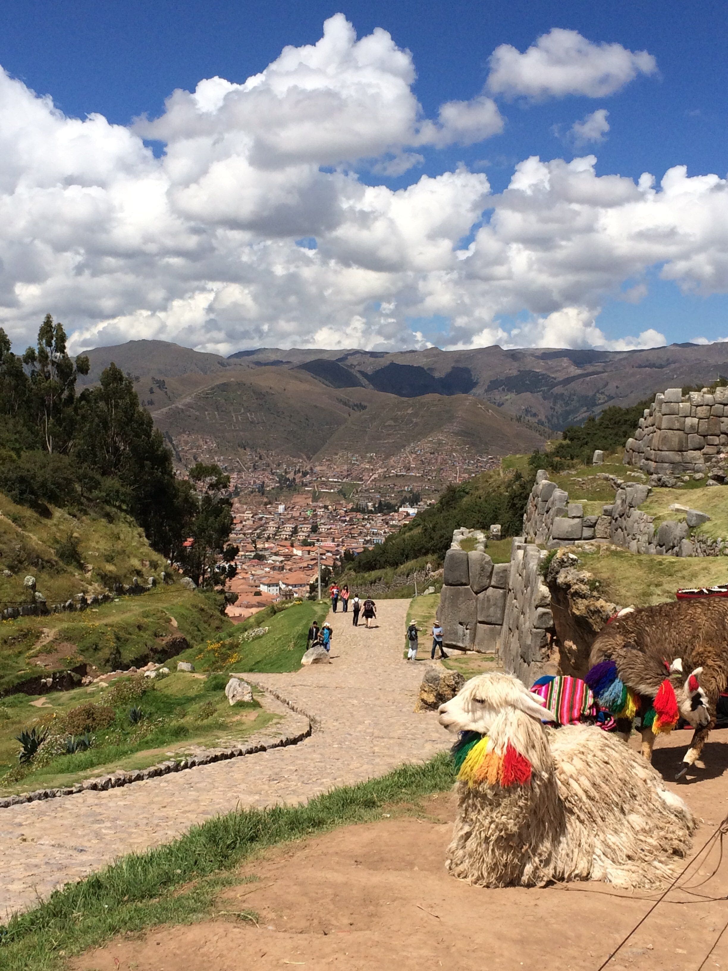 サクサイワマン