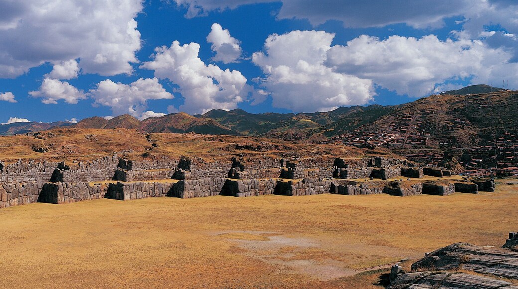 サクサイワマン