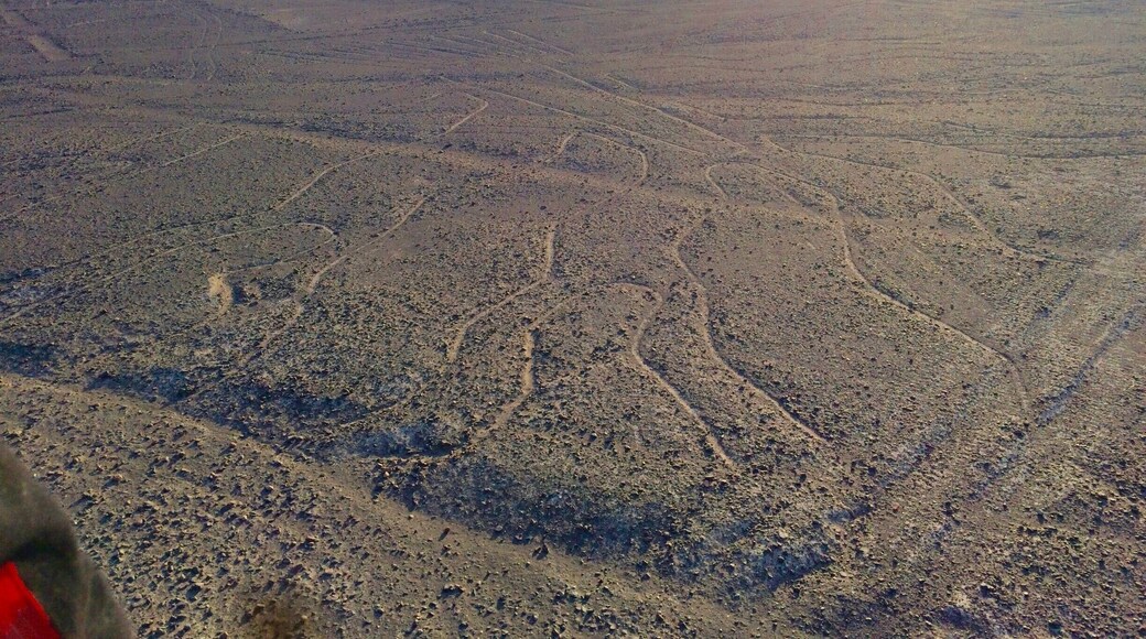 Las líneas de Nazca son antiguos geoglifos que se encuentran en las pampas de Jumana, en el desierto de Nazca, entre las poblaciones de Nazca y Palpa, en el departamento de Ica. Fueron trazadas por la cultura nazca y están compuestas por varios cientos de figuras que abarcan desde diseños tan simples como líneas hasta complejas figuras zoomorfas, fitomorfas y geométricas que aparecen trazadas sobre la superficie terrestre. Desde 1994, el Comité de la Unesco ha inscrito Las líneas y geoglifos de Nazca y de Pampas de Jumana como Patrimonio de la Humanidad.