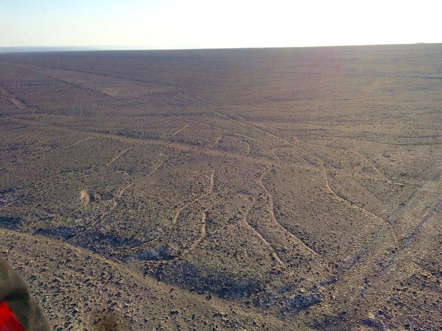Las líneas de Nazca son antiguos geoglifos que se encuentran en las pampas de Jumana, en el desierto de Nazca, entre las poblaciones de Nazca y Palpa, en el departamento de Ica. Fueron trazadas por la cultura nazca y están compuestas por varios cientos de figuras que abarcan desde diseños tan simples como líneas hasta complejas figuras zoomorfas, fitomorfas y geométricas que aparecen trazadas sobre la superficie terrestre. Desde 1994, el Comité de la Unesco ha inscrito Las líneas y geoglifos de Nazca y de Pampas de Jumana como Patrimonio de la Humanidad.