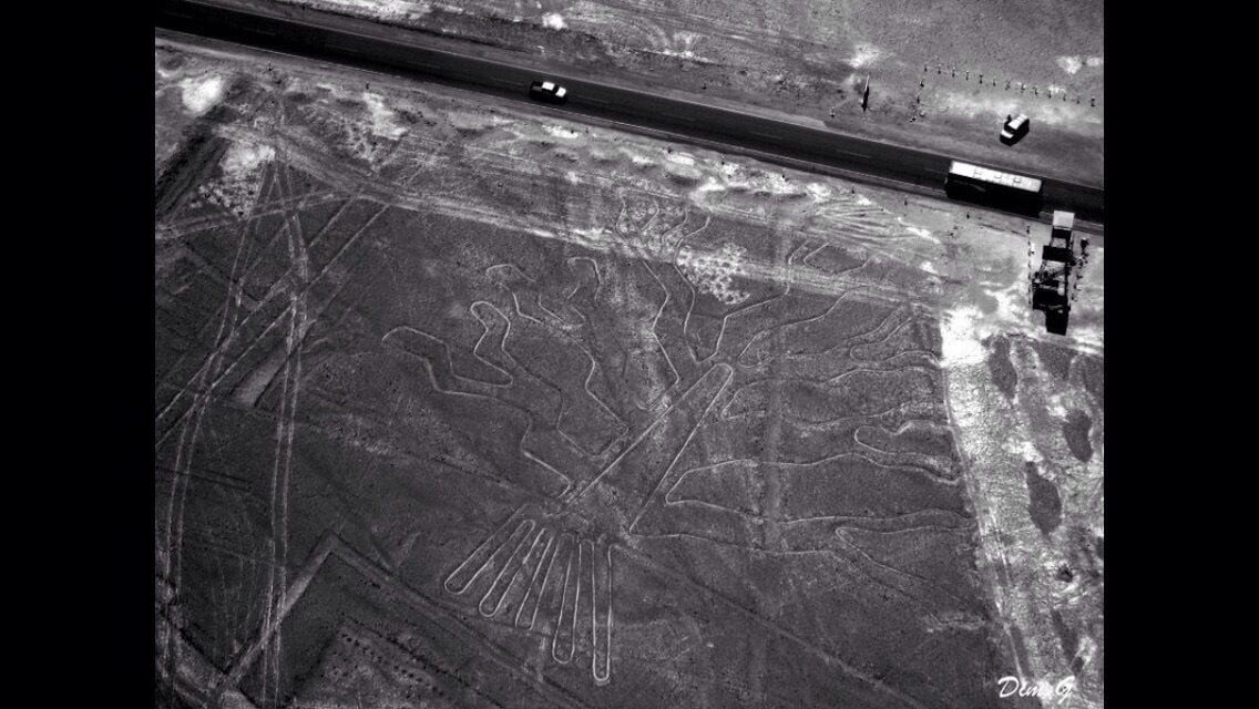 An aerial view of a large, intricate pattern etched into the ground, resembling a tree or network of branches.