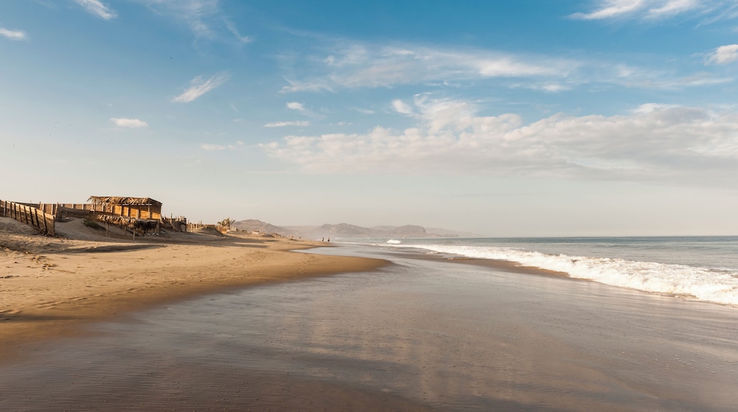 カノアス デ プンタ サル