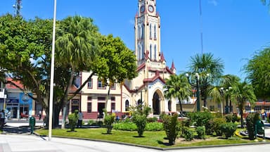 Un edificio histórico con una torre de reloj, rodeado de exuberante vegetación y palmeras.