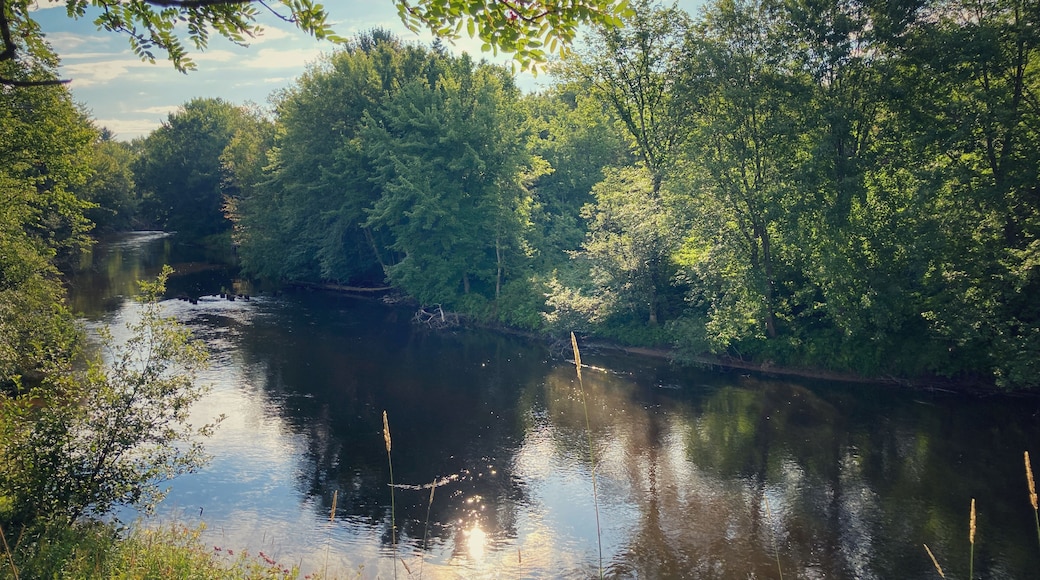 Northern Michigan river