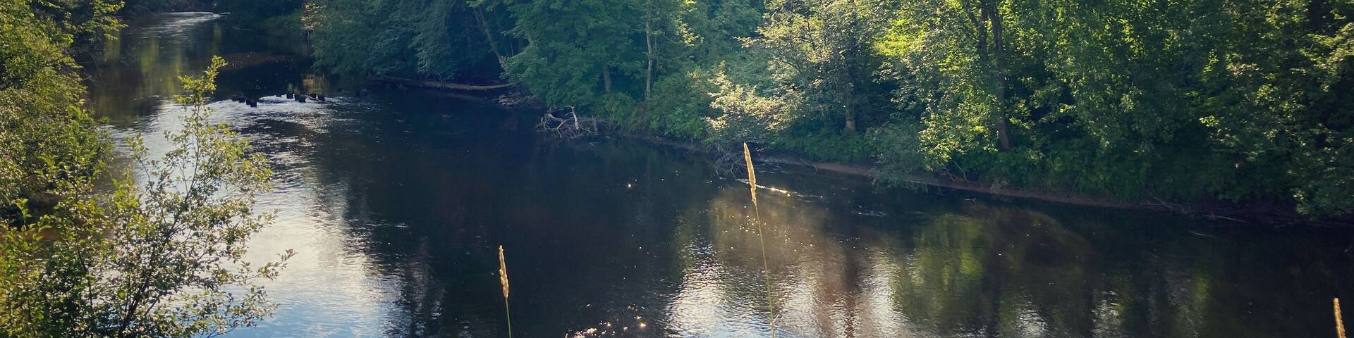 Northern Michigan river